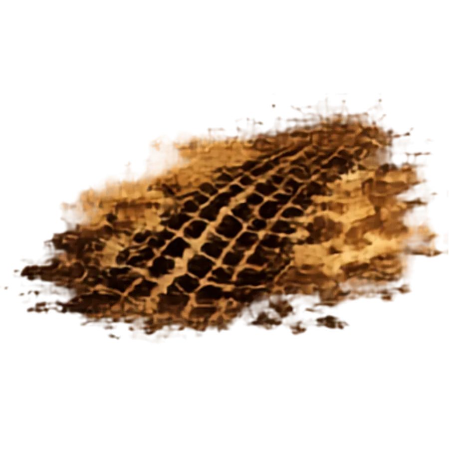 Track texture